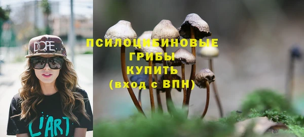 прущая мука Краснослободск