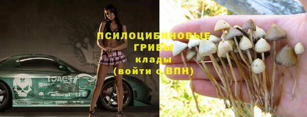 прущая мука Краснослободск