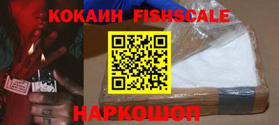 гидра Новозыбков