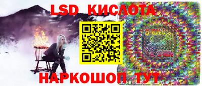 гидра Новозыбков