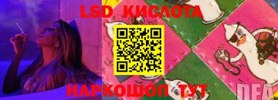 гидра Новозыбков